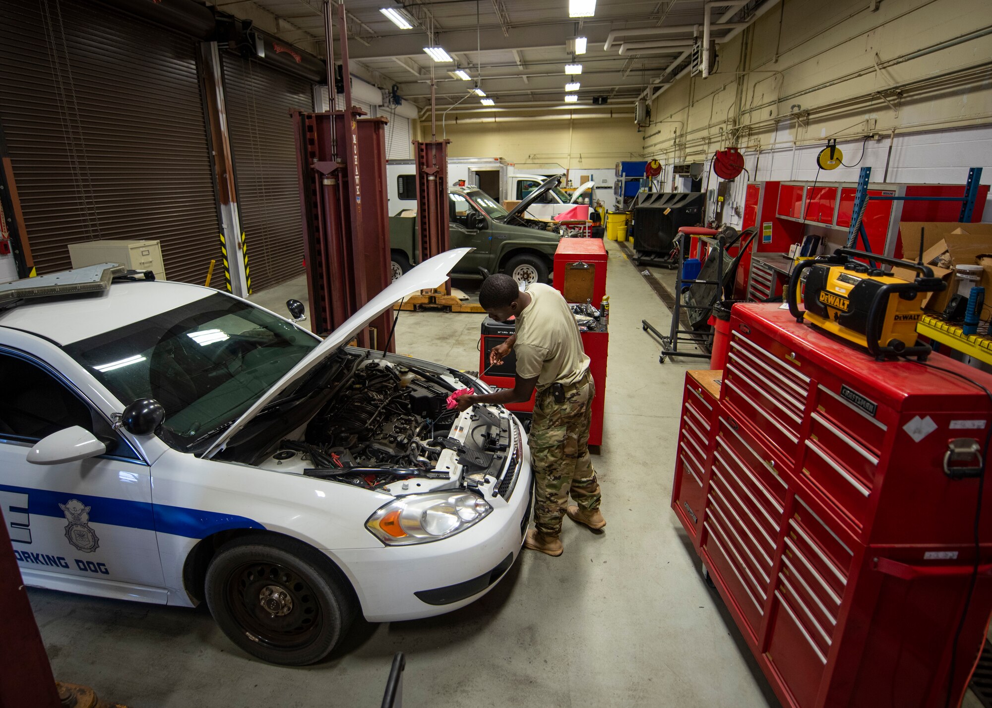 U.S. Air Force Staff Sgt. Trecel Crawford, 325th Logistics Readiness Squadron vehicle mechanic, performs preventative maintenance on a 325th Security Forces Squadron vehicle June 4, 2019, at Tyndall Air Force Base, Florida.