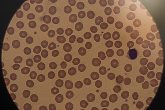 Healthcare detectives: 9th MDOS lab techs analyze specimens