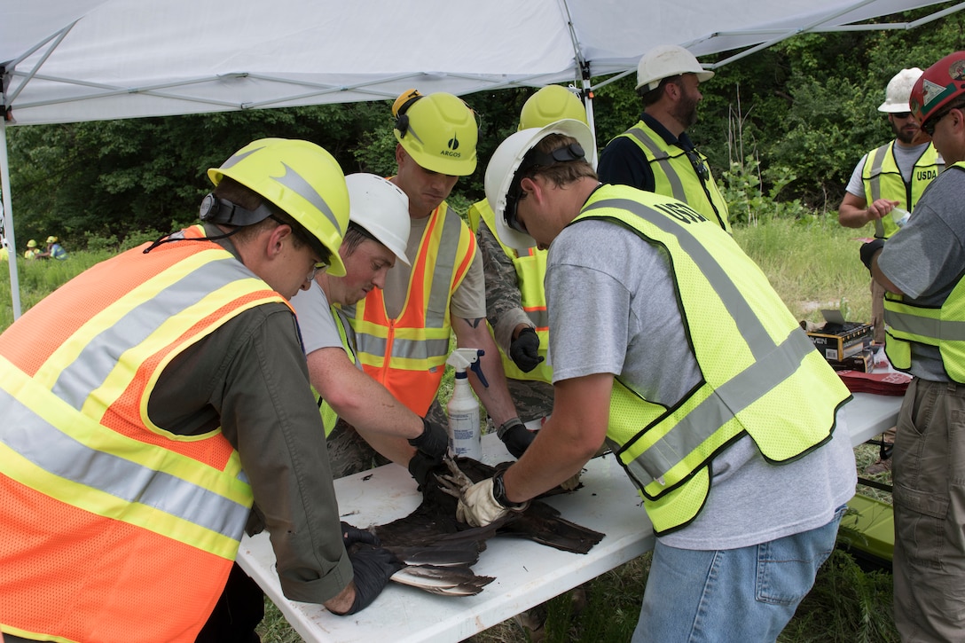 USDA biologists and Airmen with the 167th Airlift Wing work together to attached red tags with alphanumeric indicators on black vultures at Argos Cement Plant in Martinsburg, W.Va., May 23, 2019. , the 167th Airlift Wing, Argos Cement Plant and the United States Department of Agriculture’s Animal and Plant Health Inspection Service’s Wildlife Services teamed up to research black vultures in and around Martinsburg, W.Va., in an effort to mitigate potential aviation hazards. (U.S. Air National Guard photo by Senior Master Sgt. Emily Beightol-Deyerle)