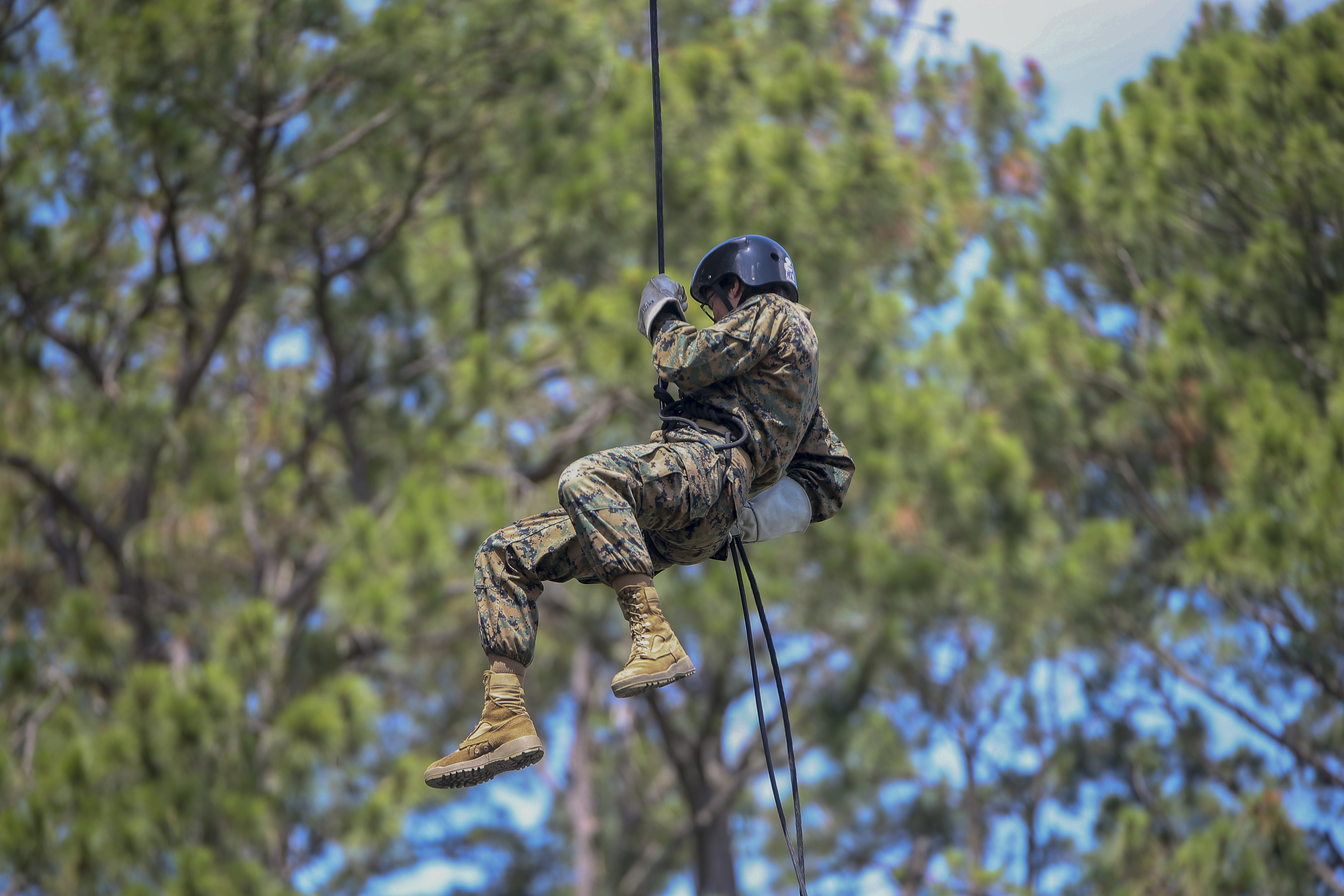 Rappelling Recruit | U.S. Department of War