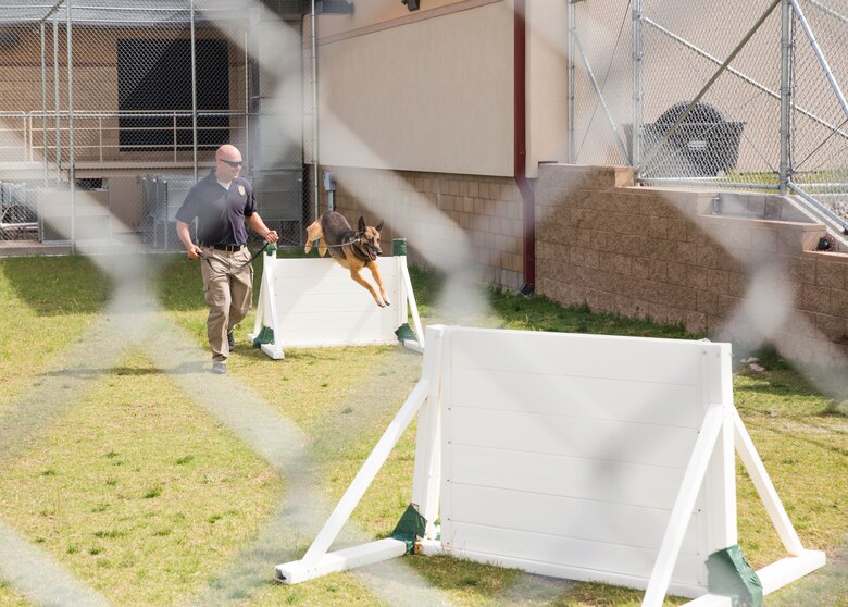 Students from Yuma Lutheran School and Desert Sonora Elementary School visit Marine Corps Air Station (MCAS) Yuma, Ariz., May 9, 2019. The students observed a demonstration of a military working dog, Marine Corps Martial Arts Program (MCMAP) techniques, and the Marine Corps Obstacle Course. They were also able to see various static displays ranging from a Search and Rescue (SAR) helicopter to a AV-8B Harrier. (U.S. Marine Corps photo by Cpl. Sabrina Candiaflores)