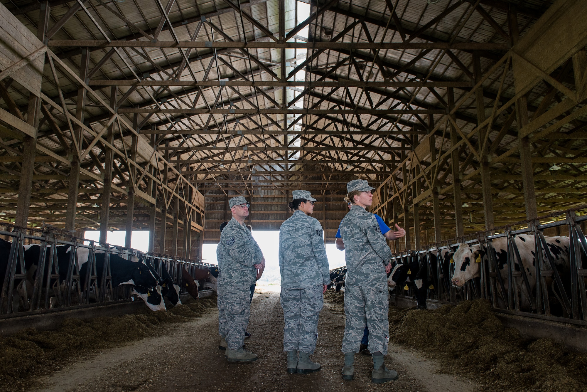 U.S. Air Force public health and bioenvironmental engineering specialists deployed in support of Delta Area Economic Opportunity Corporation Tri-State Innovative Readiness Training 2019 visit a dairy farm in Perryville, Mo., June 18, 2019. The Airmen coordinated with civilian public health agency partners to view livestock processes and promote interagency cooperation. (U.S. Air National Guard photo by Senior Airman Jonathan W. Padish)