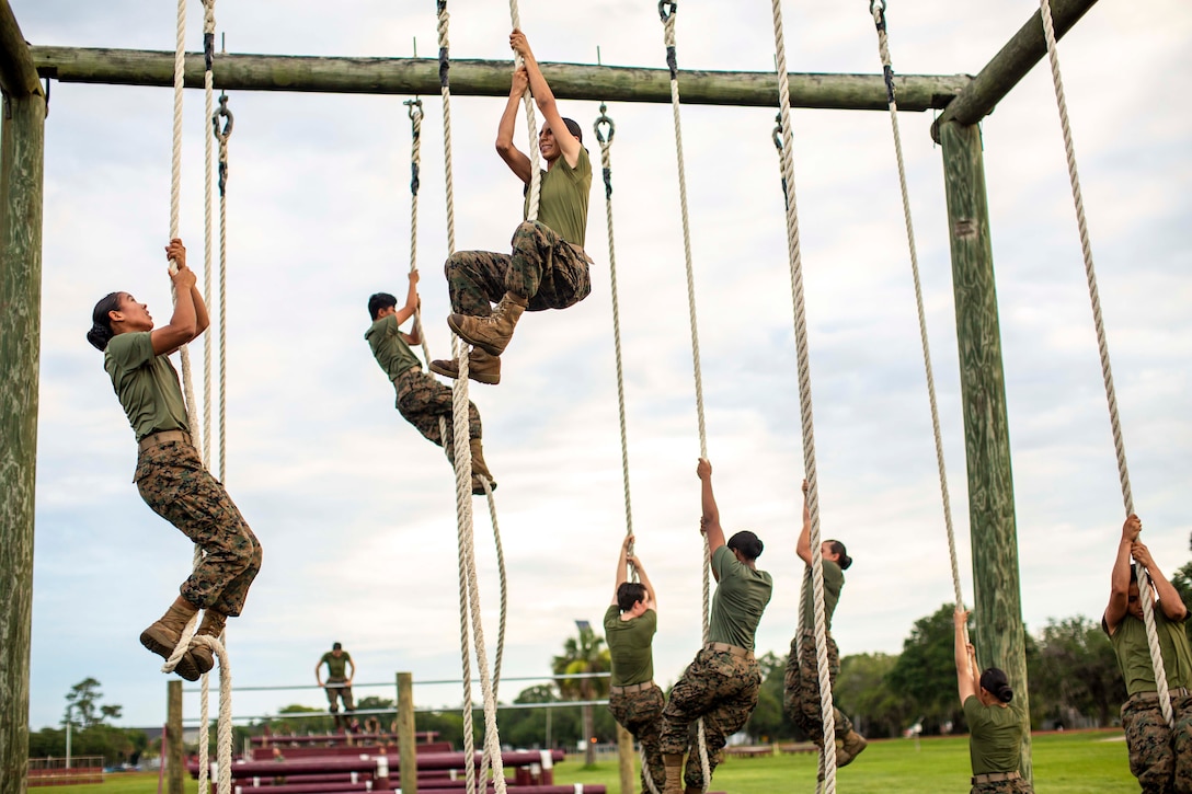 Marines climbing ropes.