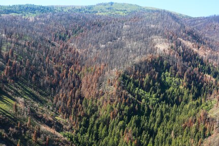 Major General Jeff Burton, the adjutant general; Allan Matheson, executive director of the Department of Environmental Quality; Joshua Emfield, deputy director for Congressman Curtis; Larry Ellertson, advisor to Congressman Curtis; Don Summit, engineer with Construction Facilities Management Office and other members of the Utah National Guard flew on a UH-60 Black Hawk to view the burn scar left from the Coal Hollow Fire on Loafer Mountain located at the south end of Utah County, June 19, 2019.