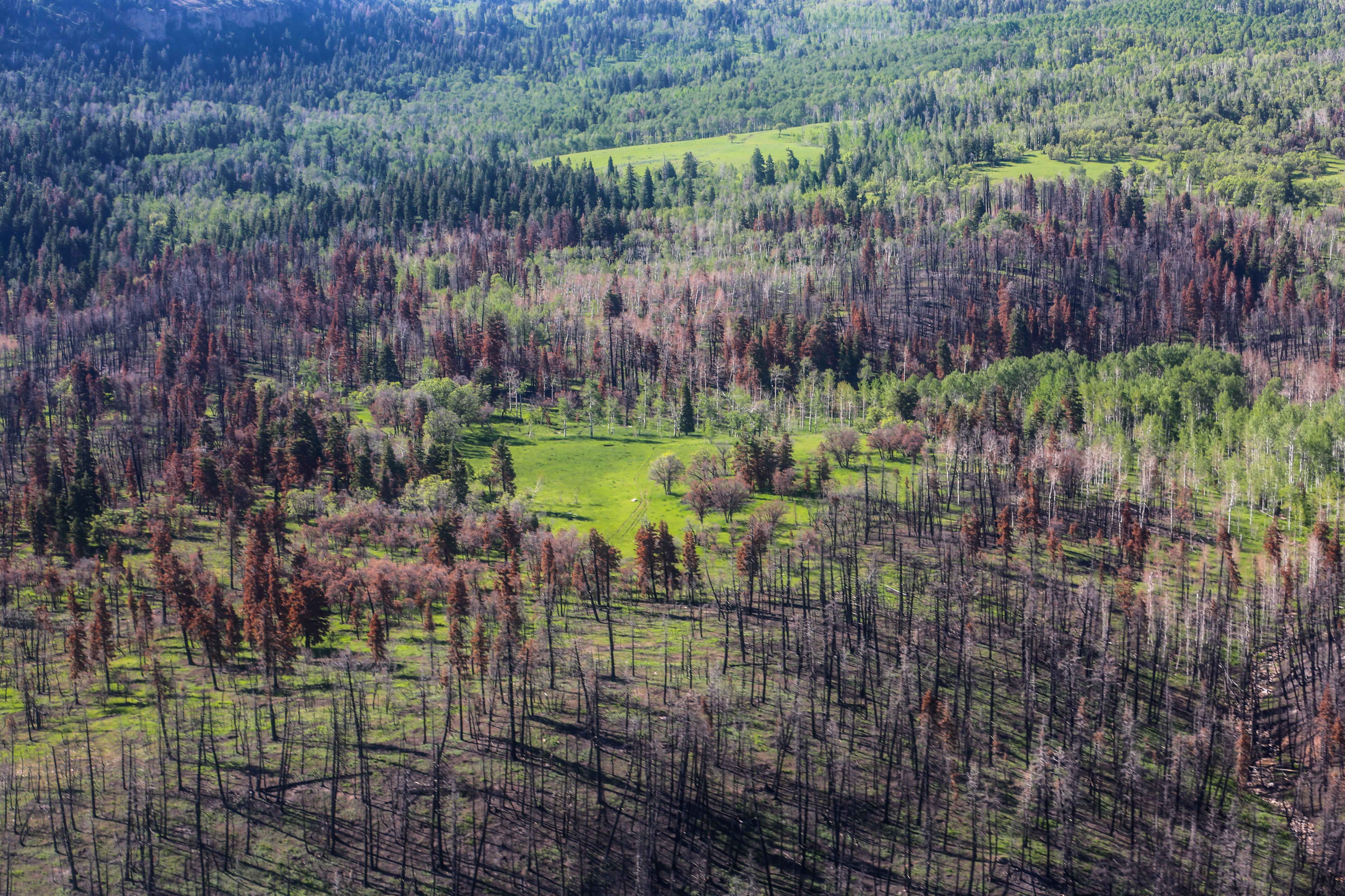 Utah Guard Revisits Coal Hollow Fire Area To Survey Burn Scars
