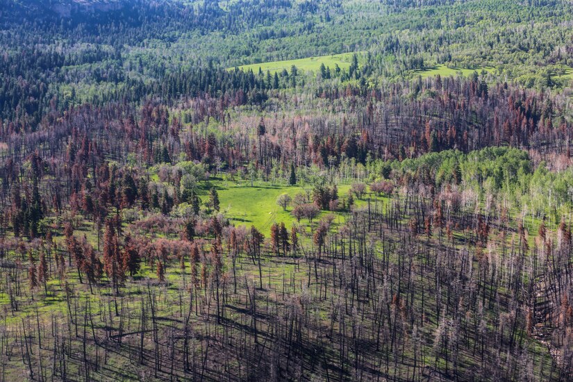 Major General Jeff Burton, the adjutant general; Allan Matheson, executive director of the Department of Environmental Quality; Joshua Emfield, deputy director for Congressman Curtis; Larry Ellertson, advisor to Congressman Curtis; Don Summit, engineer with Construction Facilities Management Office and other members of the Utah National Guard flew on a UH-60 Black Hawk to view the burn scar left from the Coal Hollow Fire on Loafer Mountain located at the south end of Utah County, June 19, 2019.