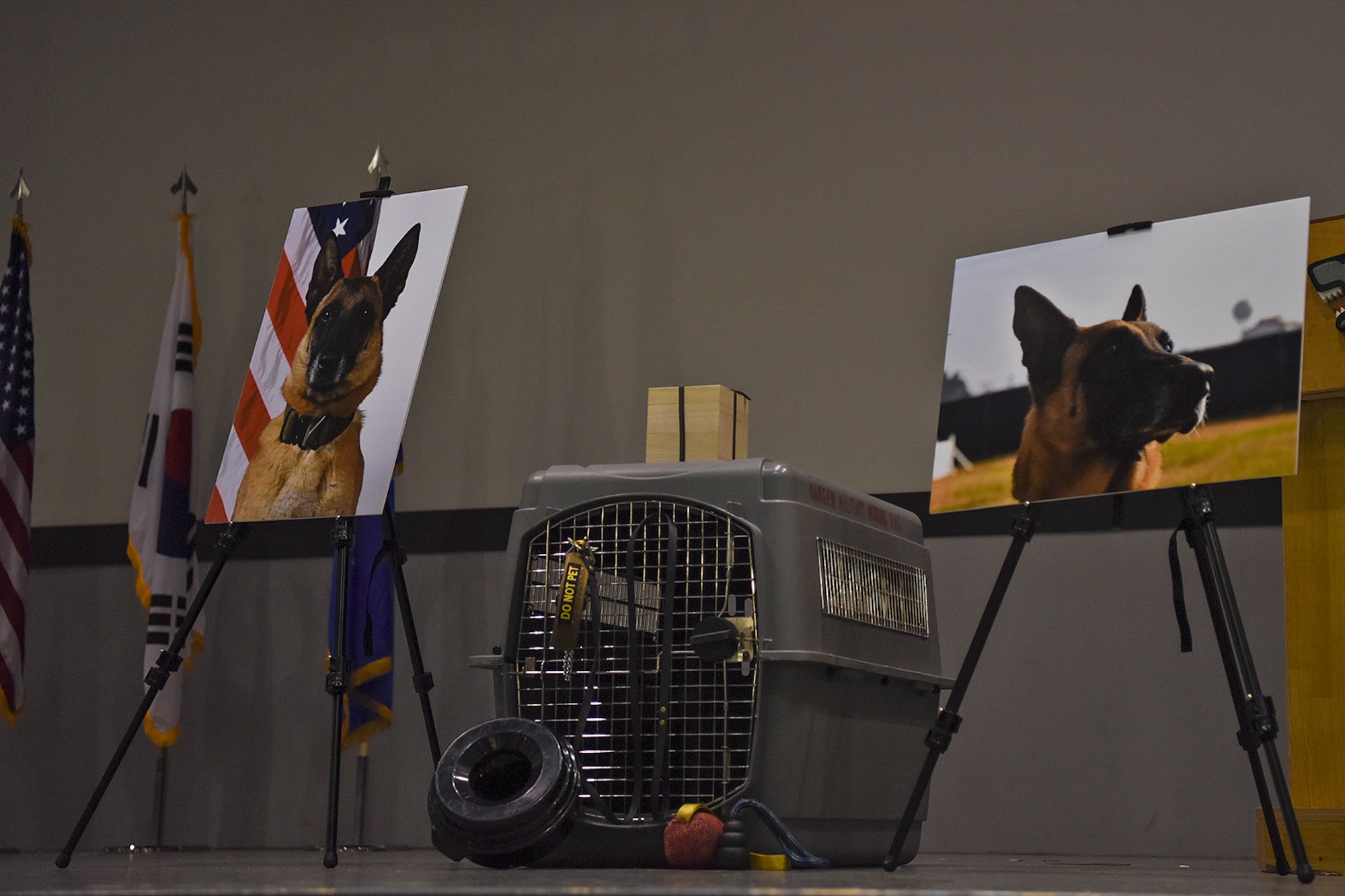 ilitary Working Dog Ooyvey was honored during a memorial service held June 19, 2019, at Kunsan Air Base, Republic of Korea. MWD Ooyvey passed away June 6, 2019, surrounded by the 8th Security Forces Squadron MWD Section. (U.S. Air Force photo by Staff Sgt. Mackenzie Mendez)