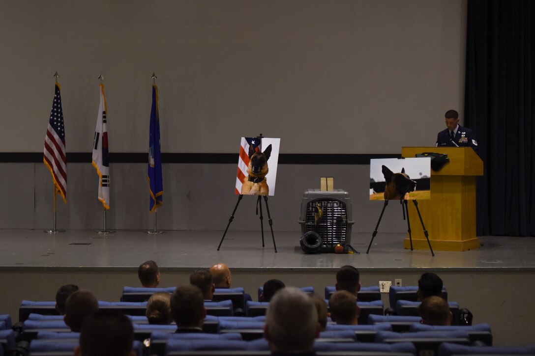 Tech. Sgt. John Whisman, 8th Security Forces Squadron Military Working Dog Section kennel master, speaks about MWD Ooyvey’s accomplishments during a memorial service June 19, 2019, at Kunsan Air Base, Republic of Korea. Throughout her time at Kunsan, MWD Ooyvey had 15 different handlers, provided protection during the 2018 Olympic Winter Games and during numerous base and peninsula events. (U.S. Air Force photo by Staff Sgt. Mackenzie Mendez)