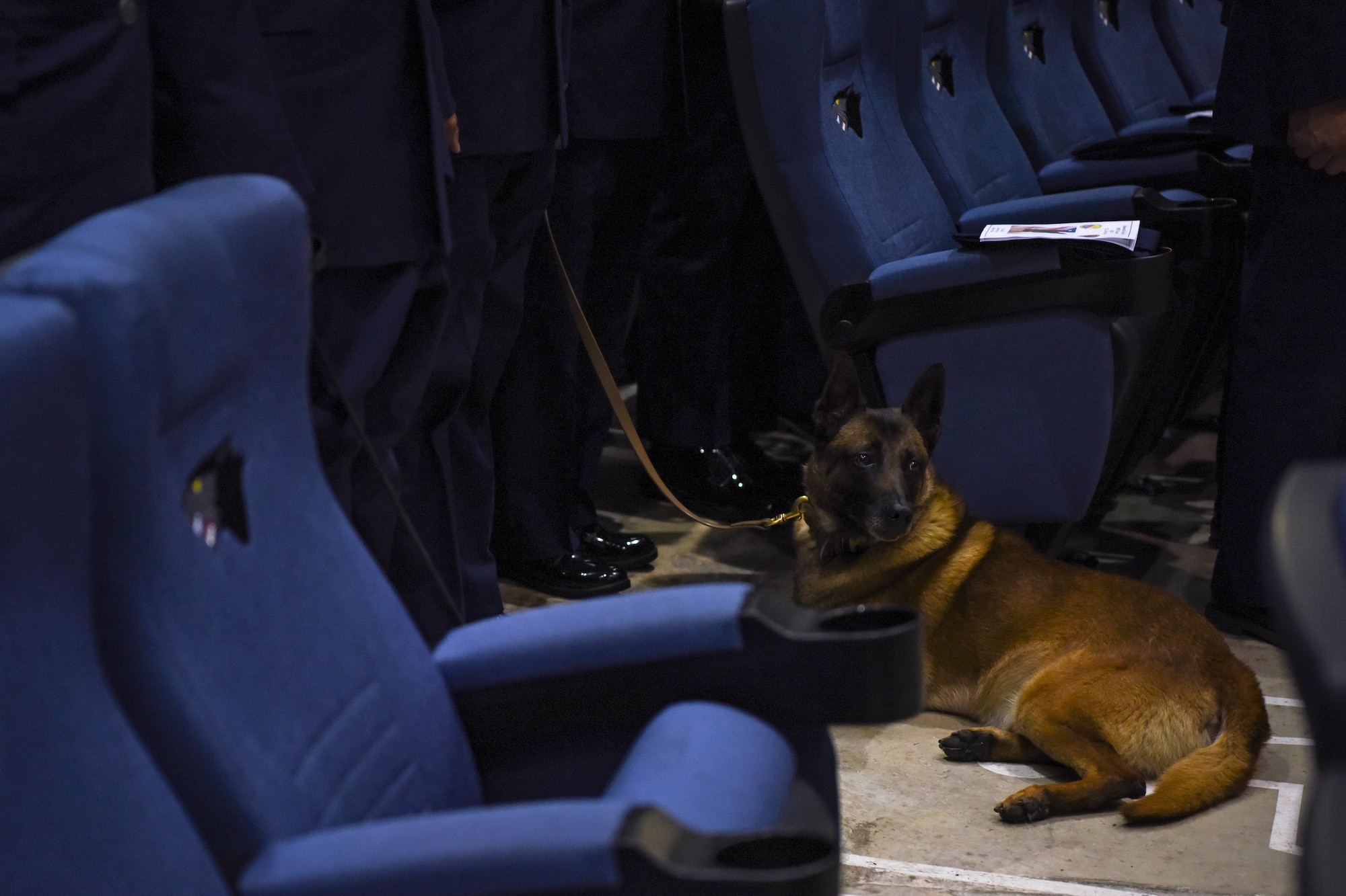 Military Working Dog Pedro sits with his handler during MWD Ooyvey’s memorial service June 19, 2019, at Kunsan Air Base, Republic of Korea. MWD Ooyvey joined the Kunsan kennels Dec. 1, 2011, after training at Joint Base San Antonio-Lackland as a patrol and detection dog. (U.S. Air Force photo by Staff Sgt. Mackenzie Mendez)