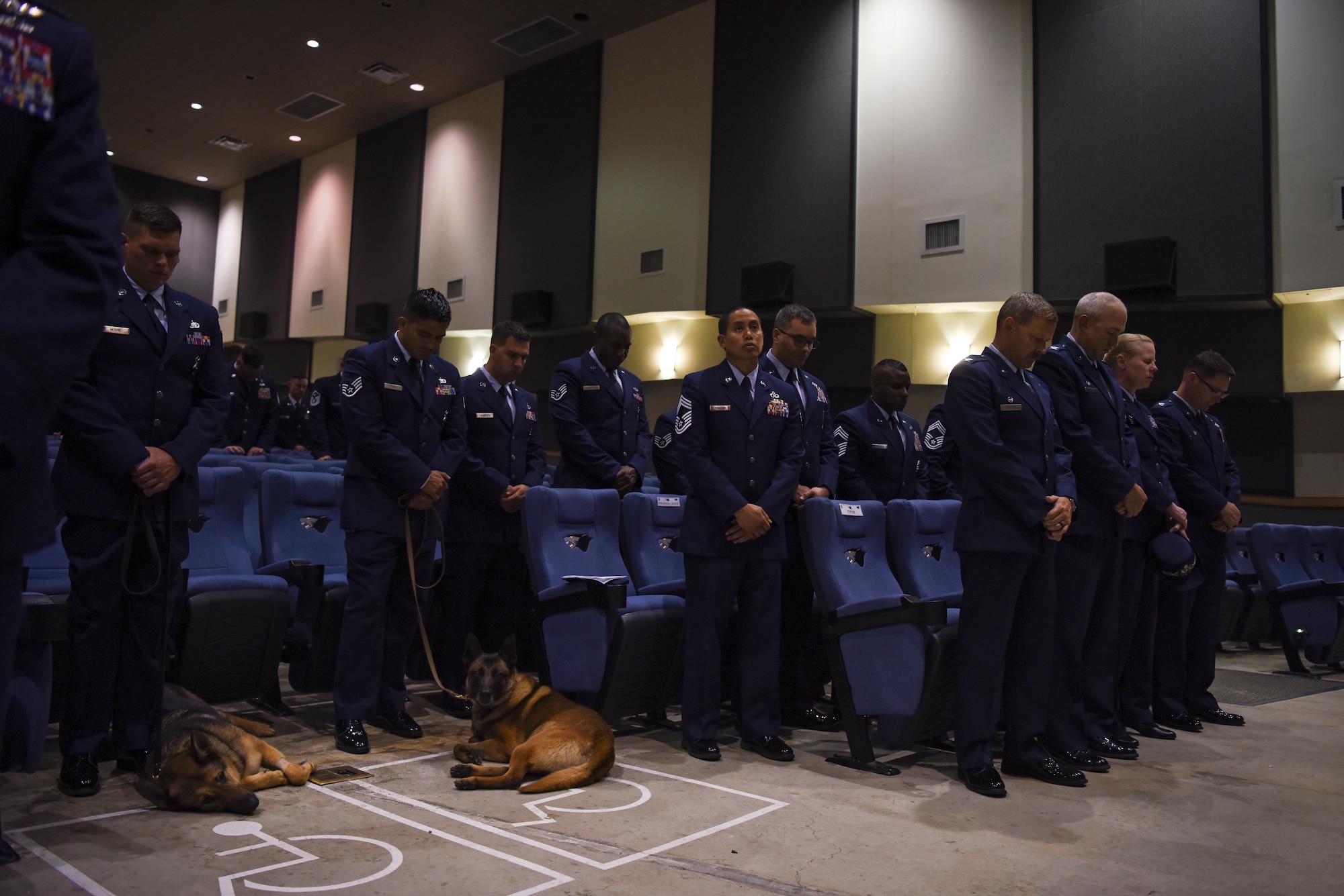 Members of the 8th Security Forces Squadron Military Working Dog Section were joined by members of the Wolf Pack to remember and honor MWD Ooyvey during a memorial service June 19, 2019, at Kunsan Air Base, Republic of Korea. Throughout her time at Kunsan, MWD Ooyvey worked with 15 different handlers, provided protection during the 2018 Olympic Winter Games and during numerous base and events on the Korean Peninsula. (U.S. Air Force photo by Staff Sgt. Mackenzie Mendez)