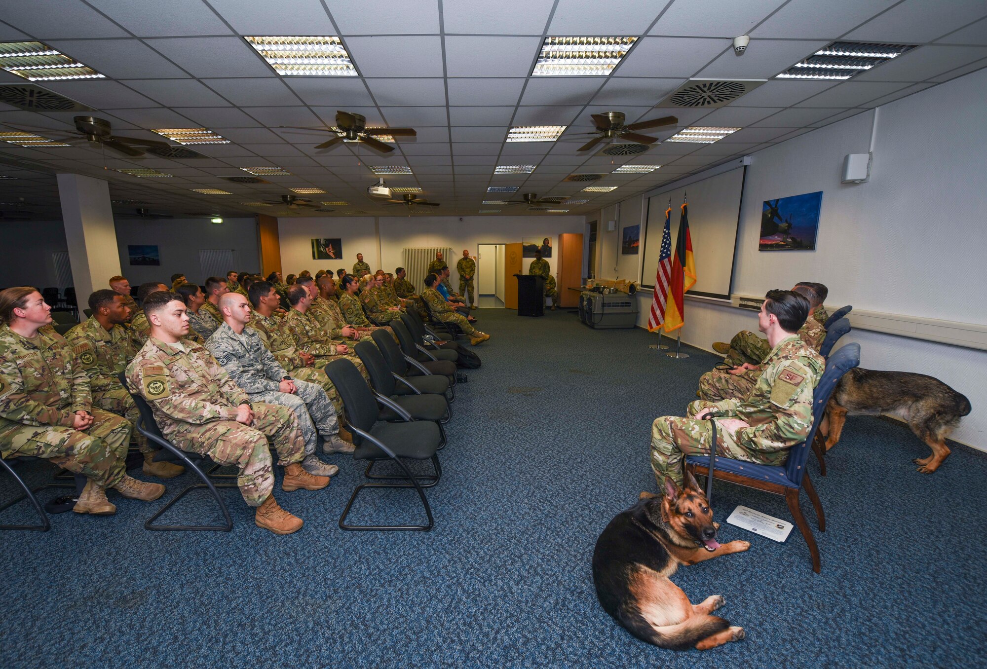 Charone and Vulcan, 86th Security Forces Squadron military working dogs, relax with their handlers during a presentation at their retirement ceremony at Ramstein Air Base, Germany, May 18, 2019. Charone and Vulcan will both retire due to health issues, and will continue to the homes of their handlers, U.S. Tech. Sgt. Chad Coe, and Senior Airman Jonathan Engle, 86th SFS.