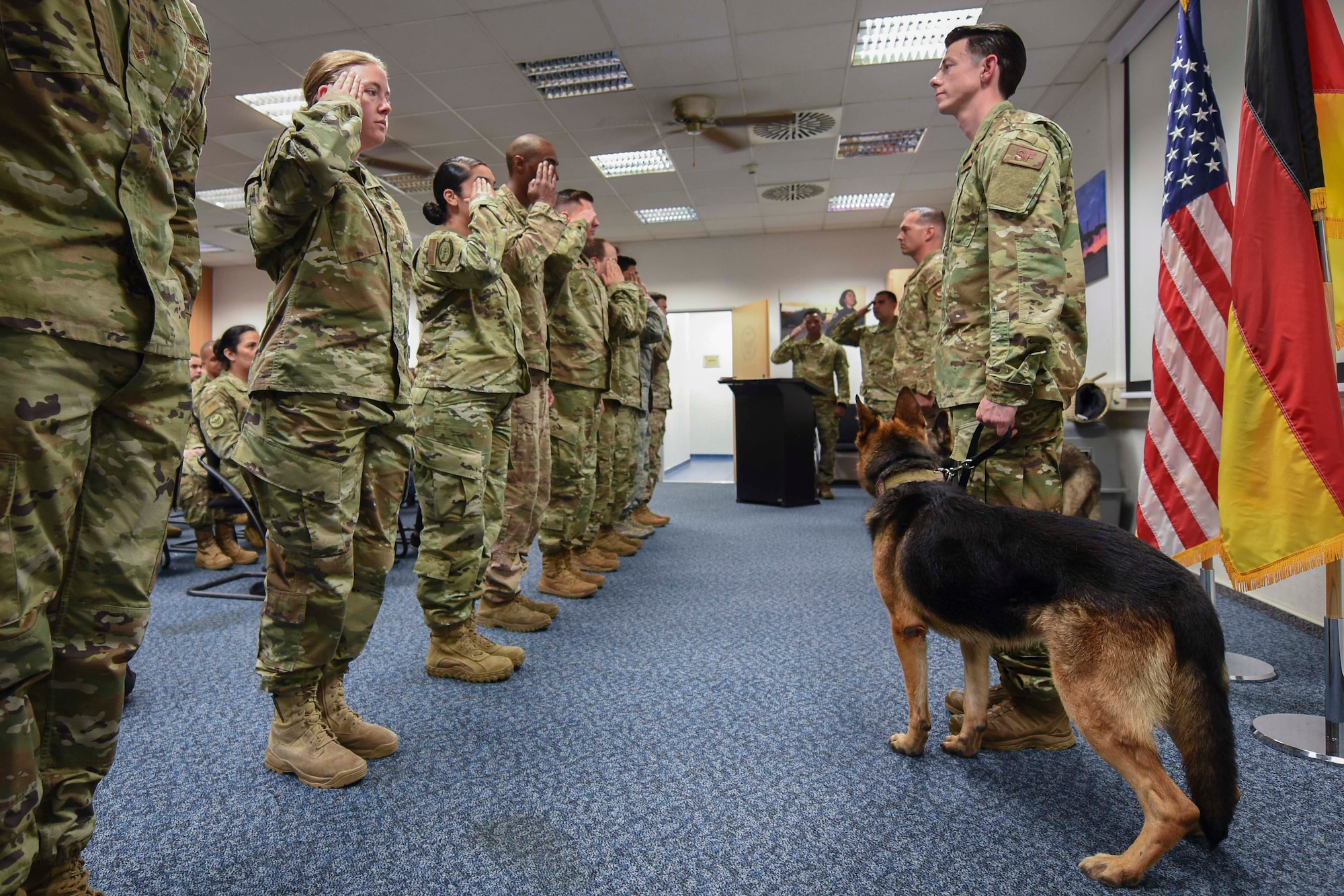 Canine handlers assigned to the 86th Security Forces Squadron render a final salute to Vulcan, 86th SFS military working dog, at his retirement ceremony at Ramstein Air Base, Germany, May 18, 2019. Vulcan retired after six years of honorable service protecting his nation.