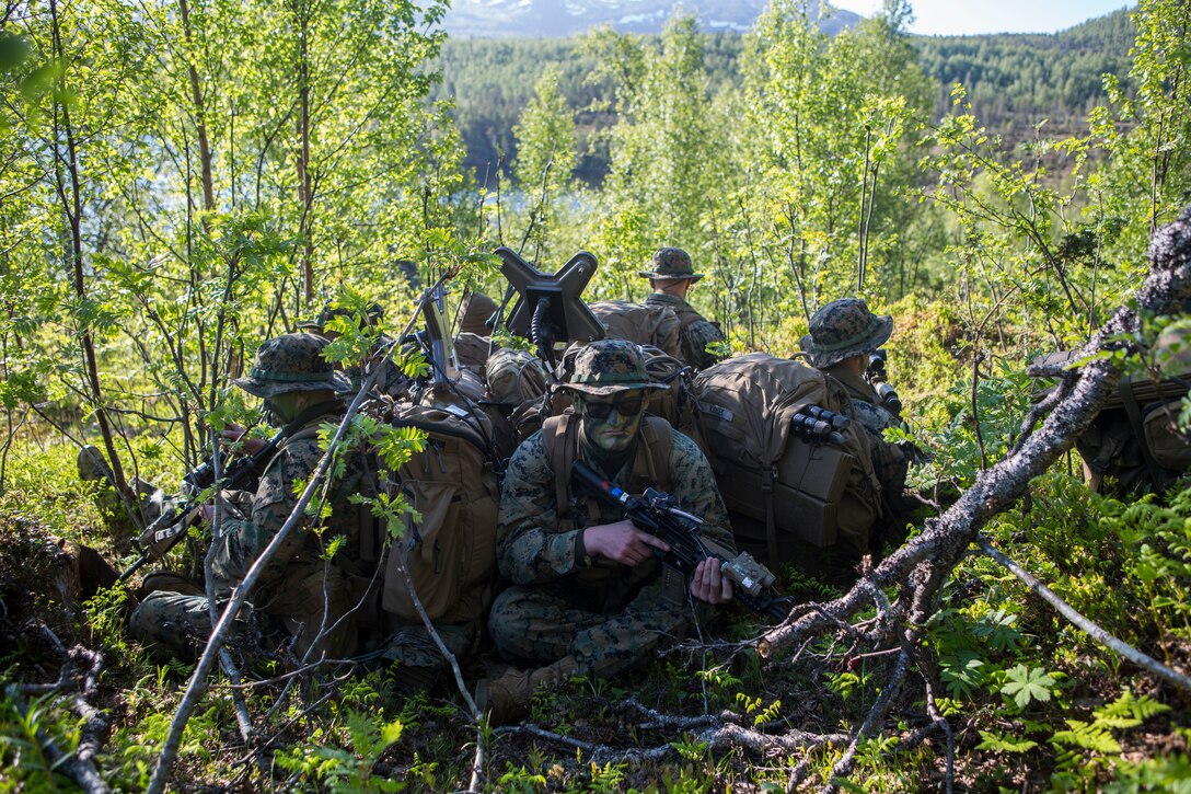 U.S. Marines with Electronic Warfare Liaison Element and scout snipers with Marine Rotational Force-Europe 19.2, Marine Forces Europe and Africa, provide security at an objective rally point during exercise Valhalla in Blåtind Training Center, Norway, June 14, 2019. Valhalla enhances the interoperability with NATO allies, and enables the Marine Corps to swiftly respond to 21st century security challenges by ensuring its forces are ready to deploy to diverse locations. (U.S. Marine Corps photo by Lance Cpl. Larisa Chavez)