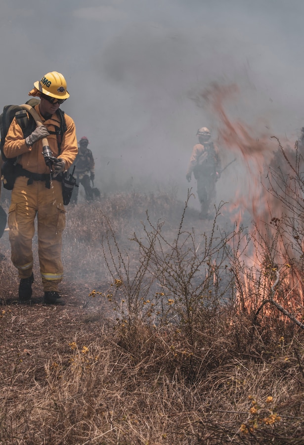 Firefighters from Marine Corps Air Station Miramar and local fire departments worked together to conduct a series of controlled burns on East Miramar, Calif., June 20. The controlled burns were conducted to mitigate the chance of wild fires starting on MCAS Miramar as well as provide real world training to local firefighters. (U.S. Marine Corps photo by Sgt. Jake McClung)
