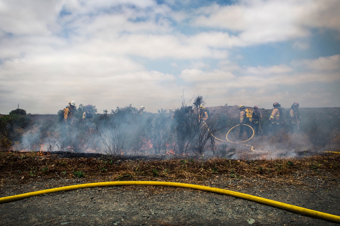 Firefighters from Marine Corps Air Station Miramar and local fire departments work together to conduct a series of controlled burns on East Miramar, Calif., June 20. The controlled burns were conducted to mitigate the chance of wild fires starting on MCAS Miramar as well as provide real world training to local firefighters. (U.S. Marine Corps photo by Sgt. Becky Cleveland)