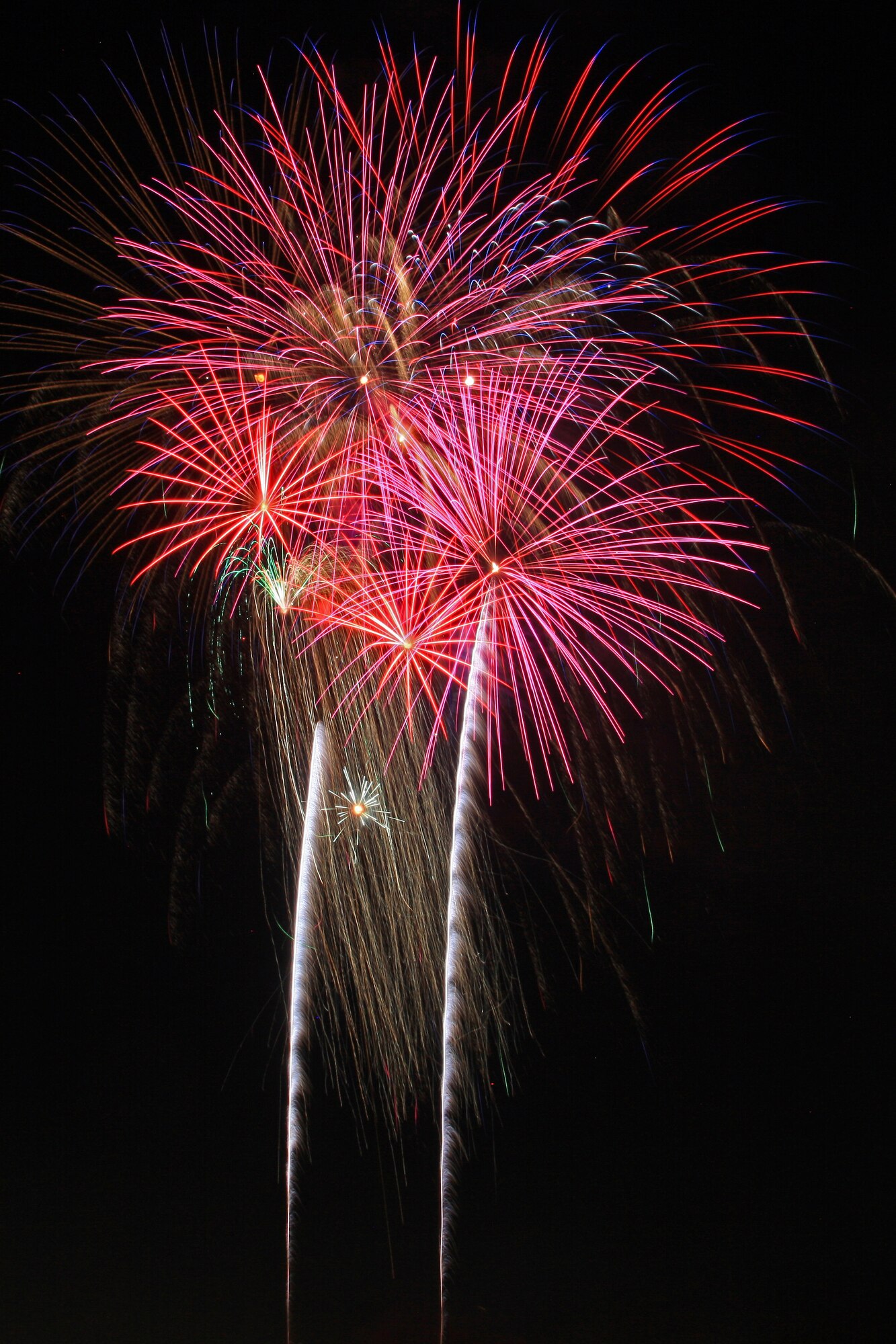 Fireworks paint the sky over Joint Forces Training Base, Los Alamitos, California, July 4, 2018. The installation partners with local communities to present the community's annual July 4 Fireworks Spectacular event. The nearly five-hour event featured vendors and military displays, musical performances, and culminated in a 25-minute fireworks show set to patriotic music. (U.S. Air National Guard photo by Senior Airman Crystal Housman)