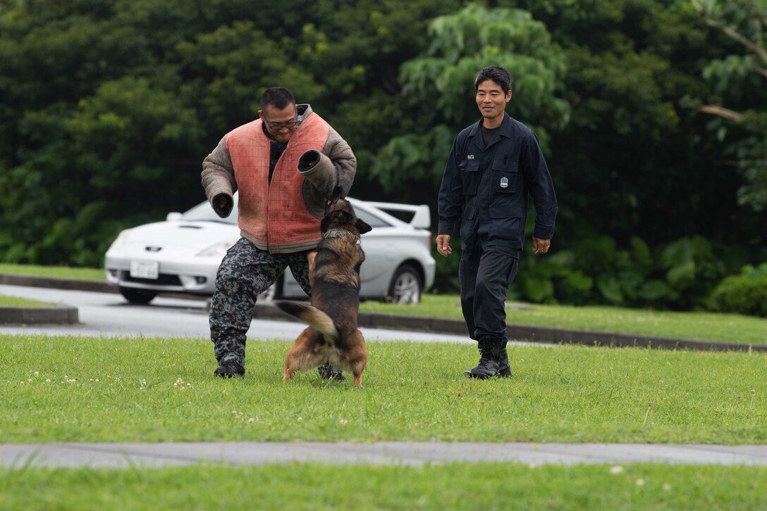 U.S. Air Force Airmen assigned to the 18th Security Forces Squadron train with Japan Air Self Defense Force member Okuzako Takashi during a bilateral exchange at Kadena Air Base, Japan, June 18, 2019