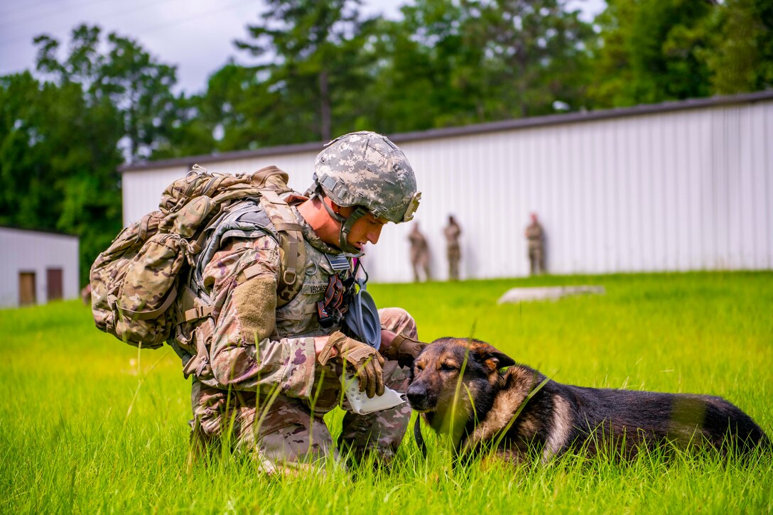 A soldier kneels down to give a dog some water from a cup.