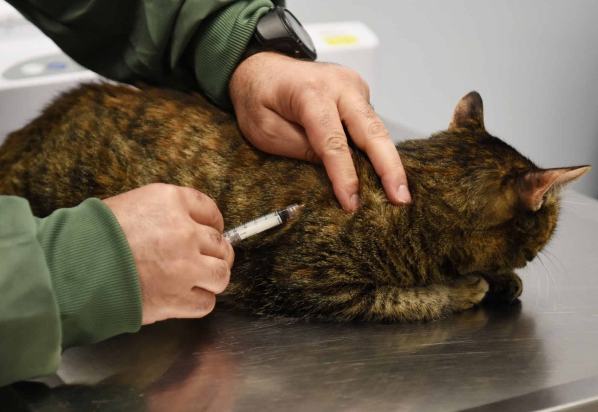 Veterinary clinics contribute to mission success