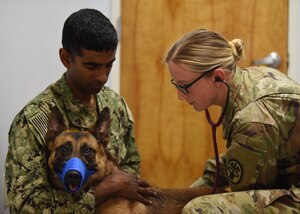 Veterinary clinics contribute to mission success