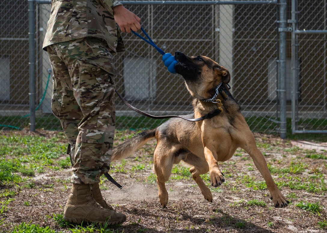 Could not load photo