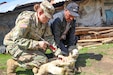 U.S. Army Reserve veterinarians enhance skills with Guatemalan partners during Beyond the Horizon 19