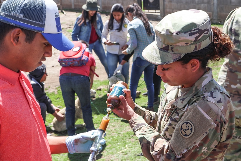 U.S. Army Reserve veterinarians enhance skills with Guatemalan partners during Beyond the Horizon 19