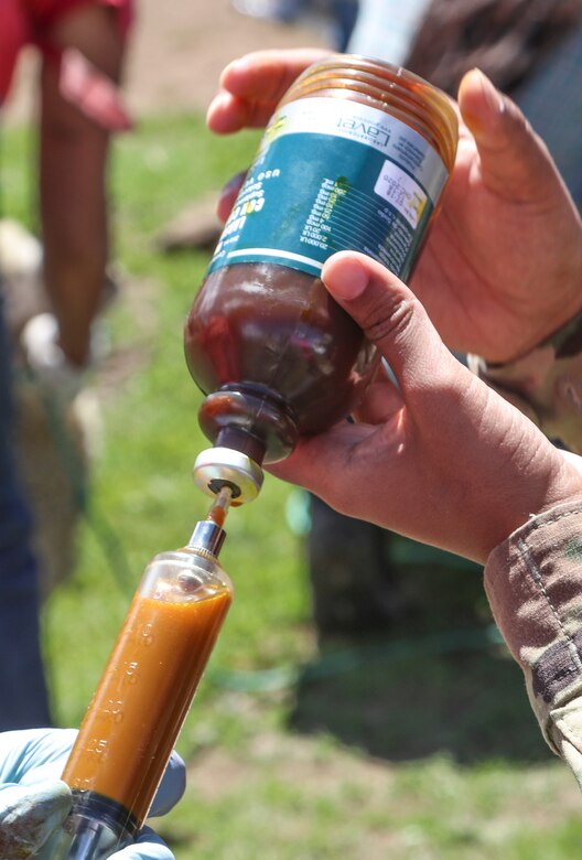 U.S. Army Reserve veterinarians enhance skills with Guatemalan partners during Beyond the Horizon 19