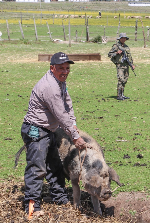 U.S. Army Reserve veterinarians enhance skills with Guatemalan partners during Beyond the Horizon 19