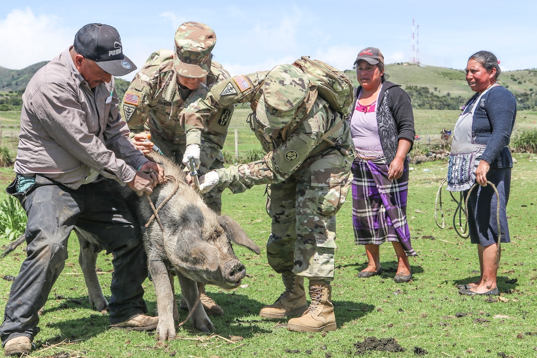 U.S. Army Reserve veterinarians enhance skills with Guatemalan partners during Beyond the Horizon 19