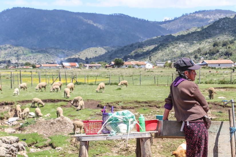 U.S. Army Reserve veterinarians enhance skills with Guatemalan partners during Beyond the Horizon 19