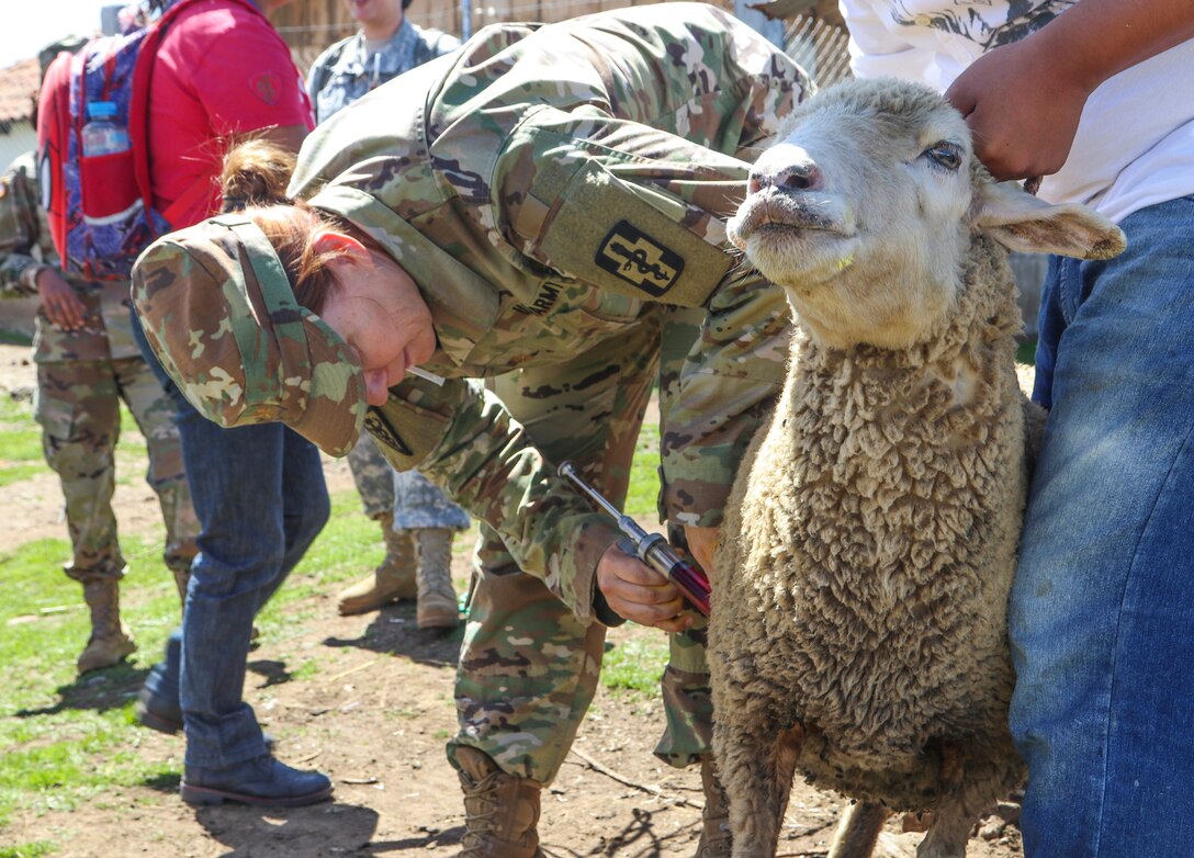 U.S. Army Reserve veterinarians enhance skills with Guatemalan partners during Beyond the Horizon 19