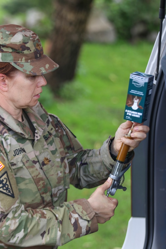 U.S. Army Reserve veterinarians enhance skills with Guatemalan partners during Beyond the Horizon 19