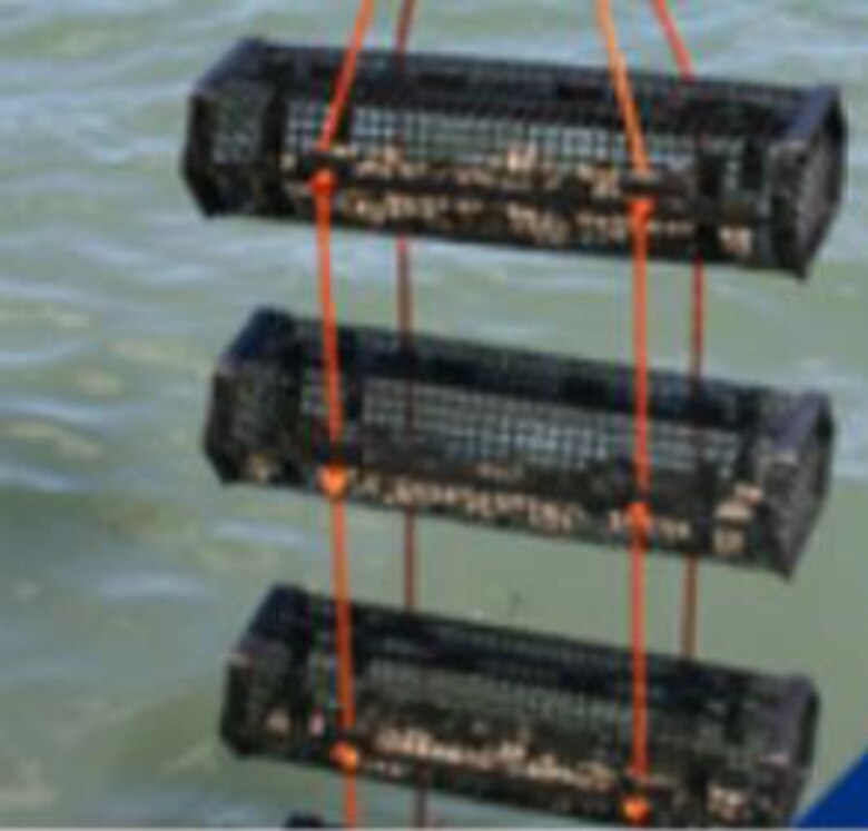Plastic Oyster Cages