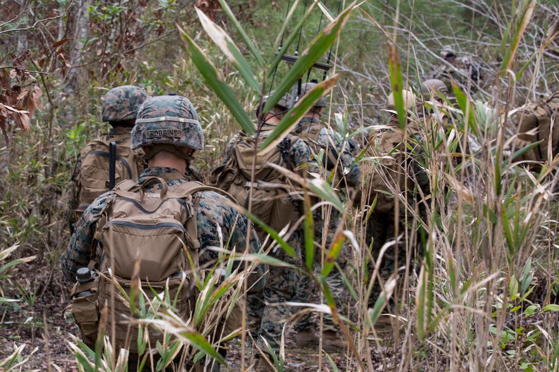Marines and Sailors patrol through a tree line during a Tactical Recovery of Aircraft and Personnel exercise on Camp Lejeune, North Carolina, Feb. 23, 2019. TRAP is a core function of a Marine Expeditionary Unit and the 24th MEU consistently trains to increase TRAP proficiency by rehearsing realistic scenarios which force the Marines and Sailors to quickly make decisions under stress. The service members are with the 24th MEU. (U.S. Marine Corps photo by Lance Cpl. Larisa Chavez)
