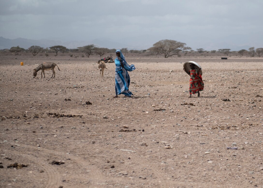 USACAPOC veterinarians visit remote Djibouti village to promote herd health