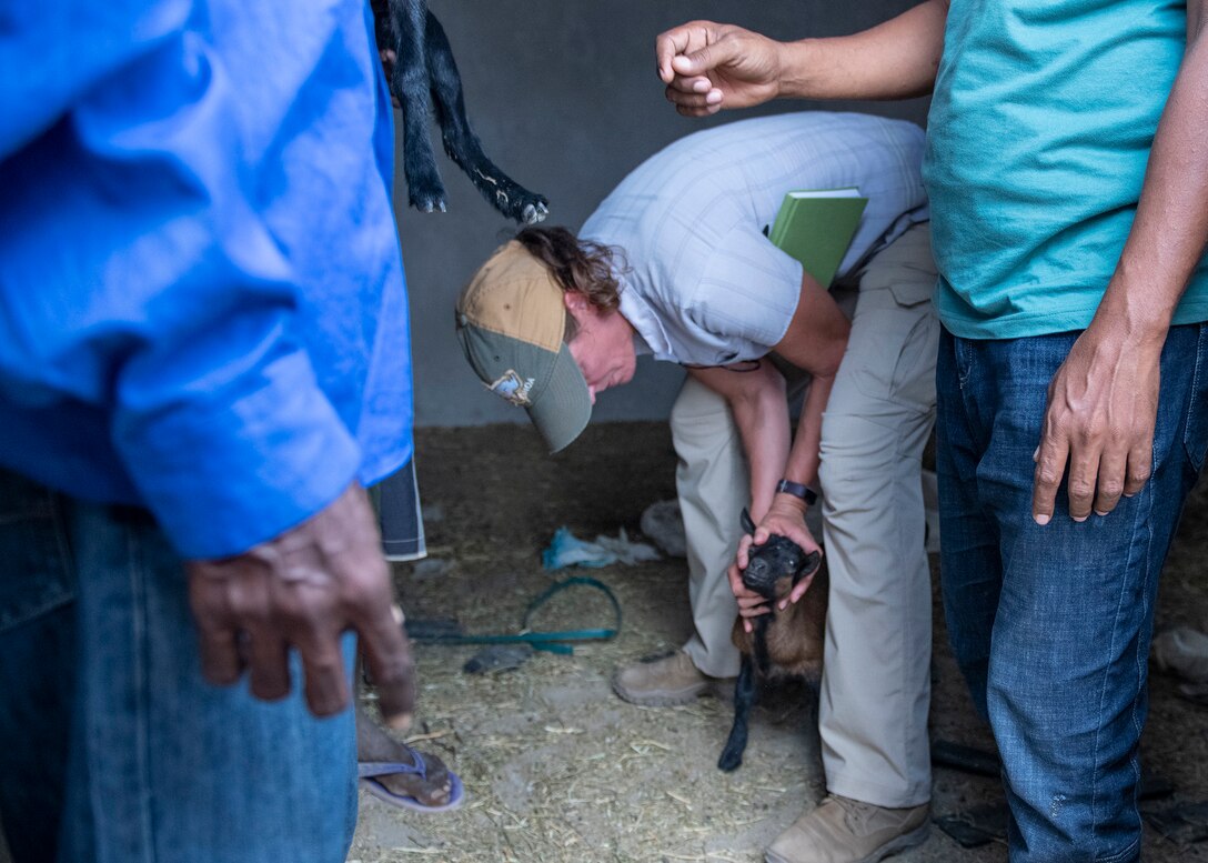 USACAPOC veterinarians visit remote Djibouti village to promote herd health