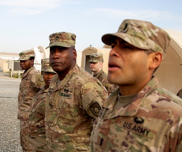 Should Sleeve Insignia