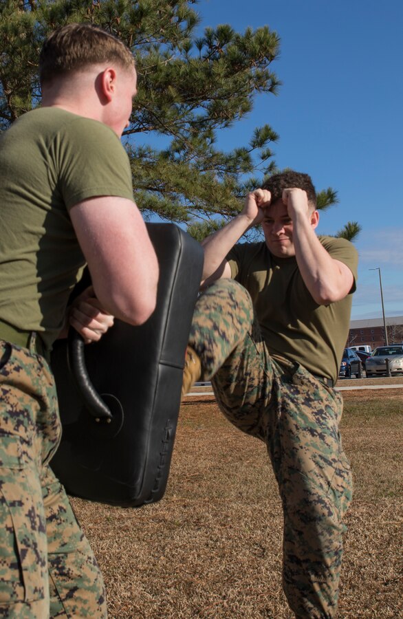 U.S. Marine Corps Sgt. Christopher T. Martin executes a push kick on Sgt. Gavin C. Sheehan at Marine Corps Air Station Cherry Point, North Carolina, Jan. 15, 2019. Aside from day-to-day duties, Martin is qualified as a Marine Corps Martial Arts Program instructor in charge of training Marines as they achieve higher belt levels. Martin and Sheehan are both assigned to Headquarters and Headquarters Squadron, MCAS Cherry Point. (U.S. Marine Corps photo by Lance Cpl. Jacob Bertram)
