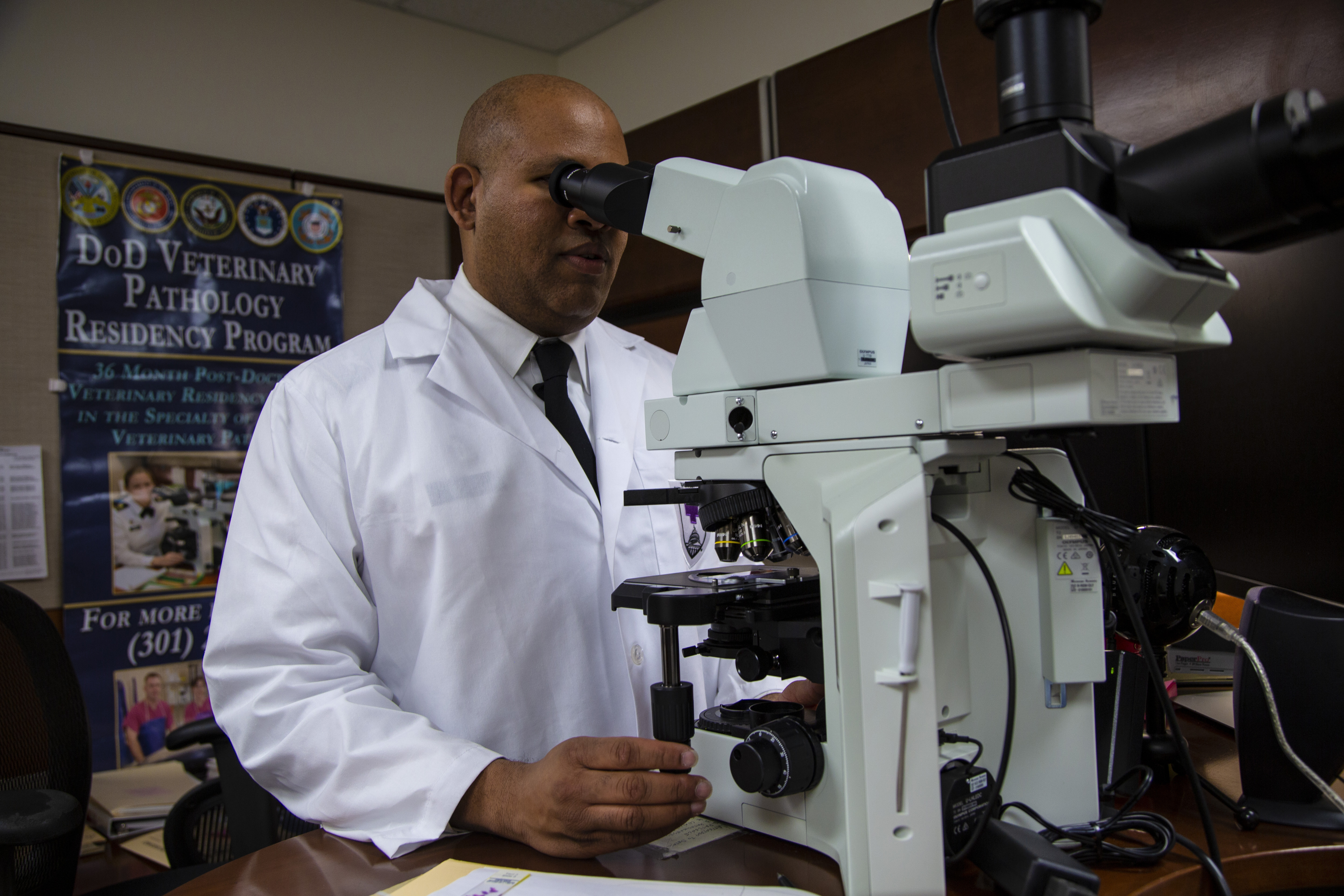 Veterinary pathology shop