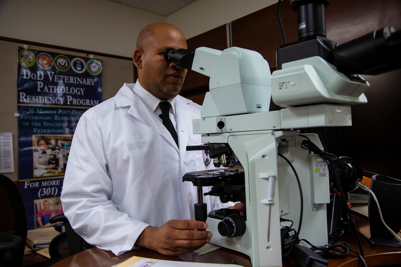 Examining tissue through microscope