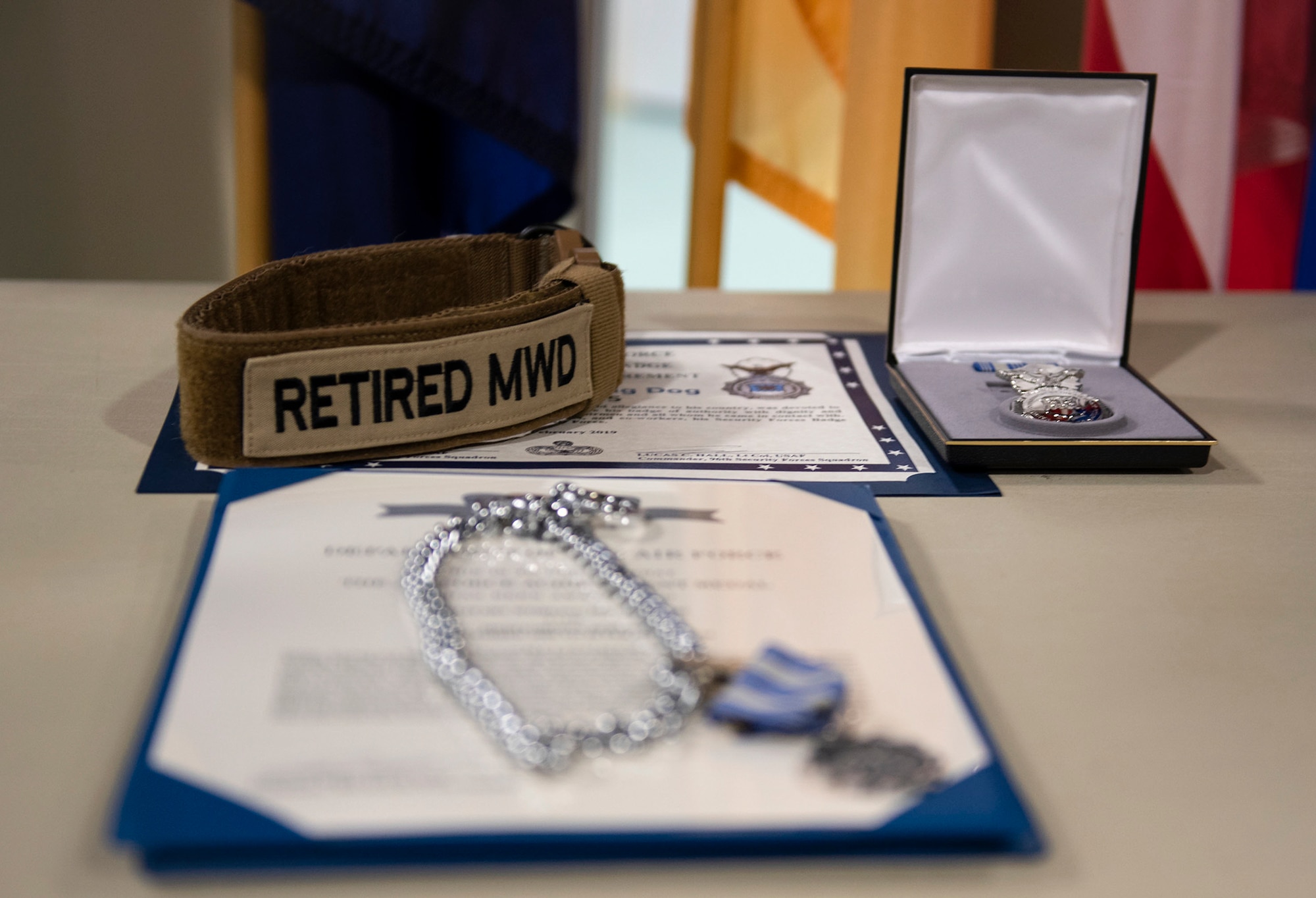 96th Security Forces Squadron holds a retirement ceremony to honor Military Working Dogs, Roy and Zuzu at the Air Force Armament Museum.