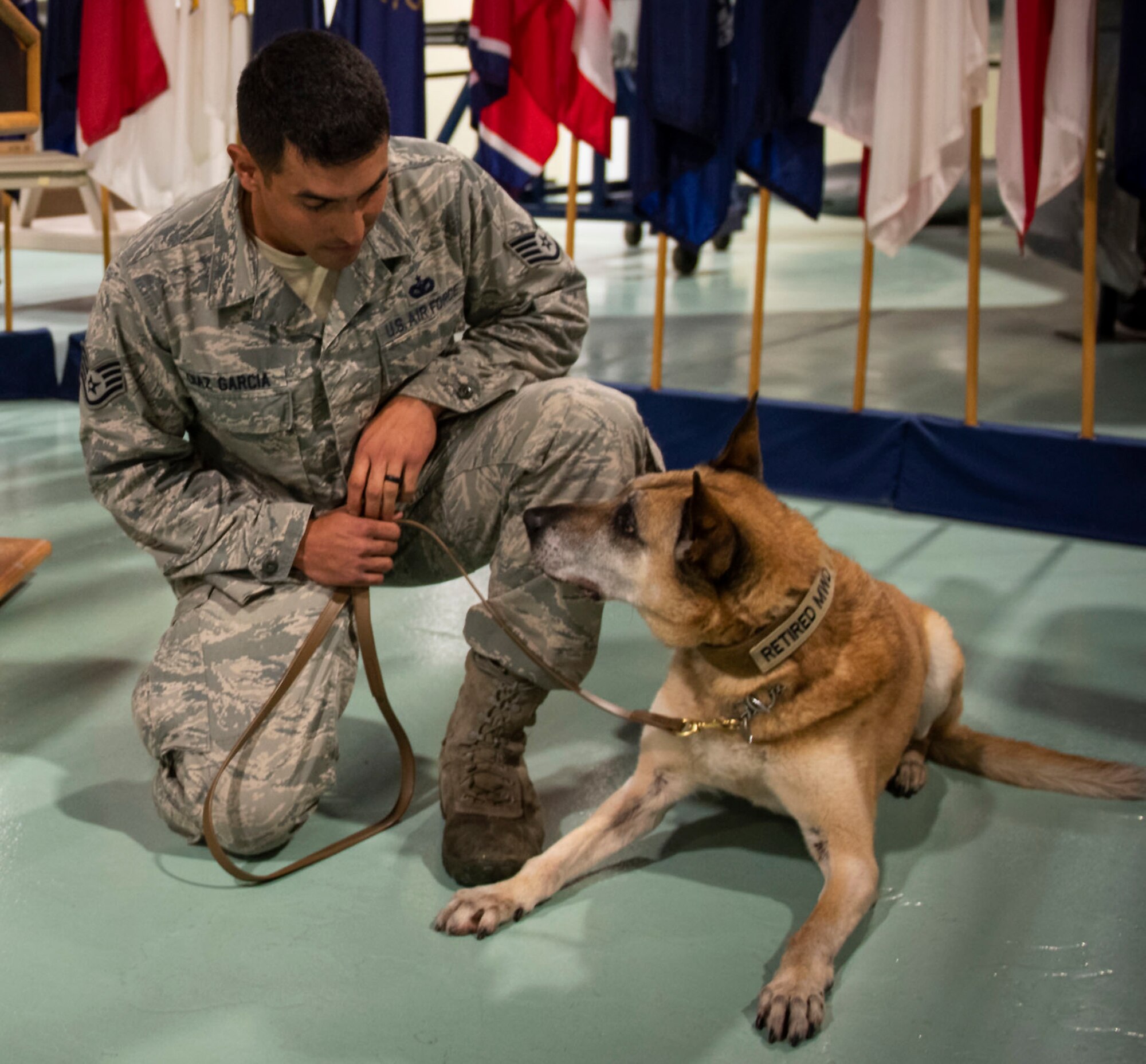 96th Security Forces Squadron holds a retirement ceremony to honor Military Working Dogs, Roy and Zuzu at the Air Force Armament Museum.