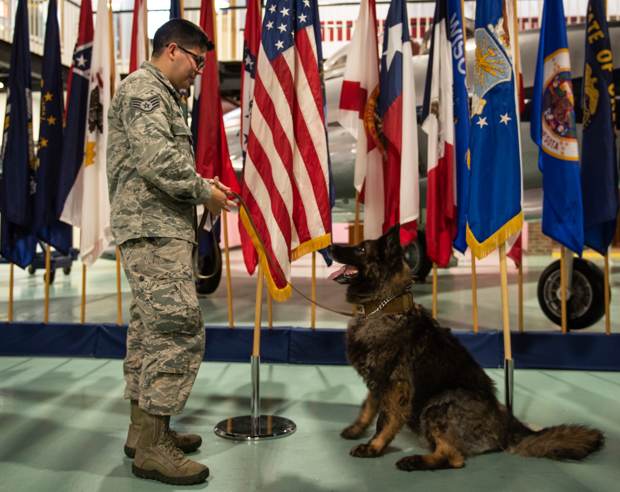 96th Security Forces Squadron holds a retirement ceremony to honor Military Working Dogs, Roy and Zuzu at the Air Force Armament Museum.