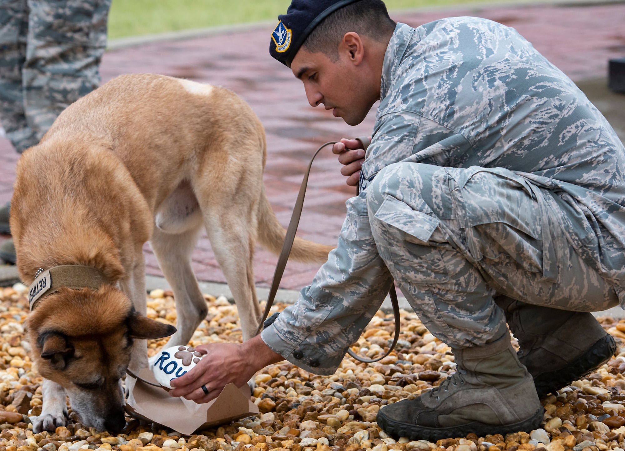 96th Security Forces Squadron holds a retirement ceremony to honor Military Working Dogs, Roy and Zuzu at the Air Force Armament Museum.