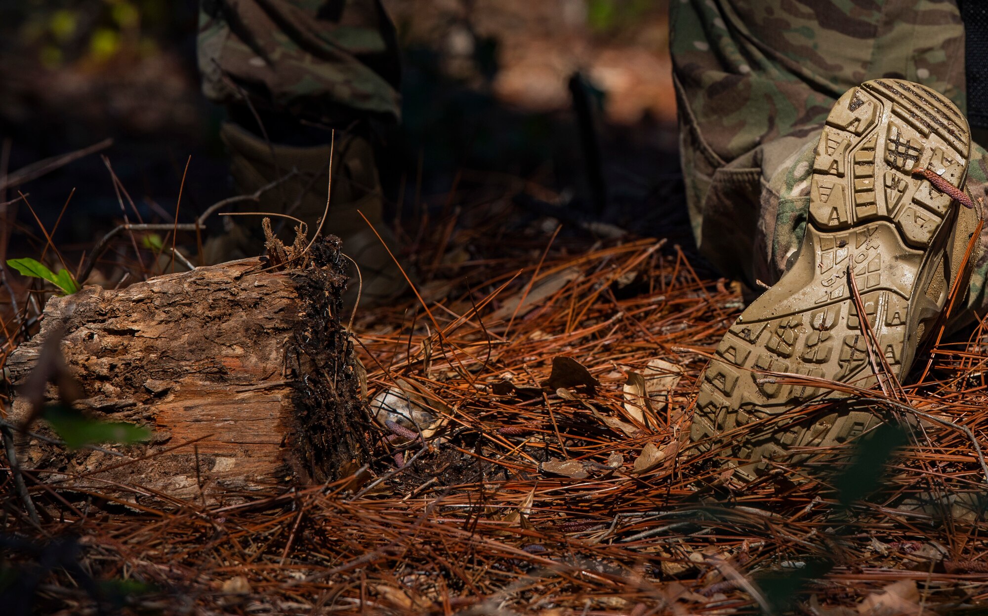 A U.S. Airman assigned to the 20th Security Force Squadron (SFS) kneels among straw during a force-on-force training at Poinsett Electronic Combat Range near Wedgefield, S.C., March 6, 2019.