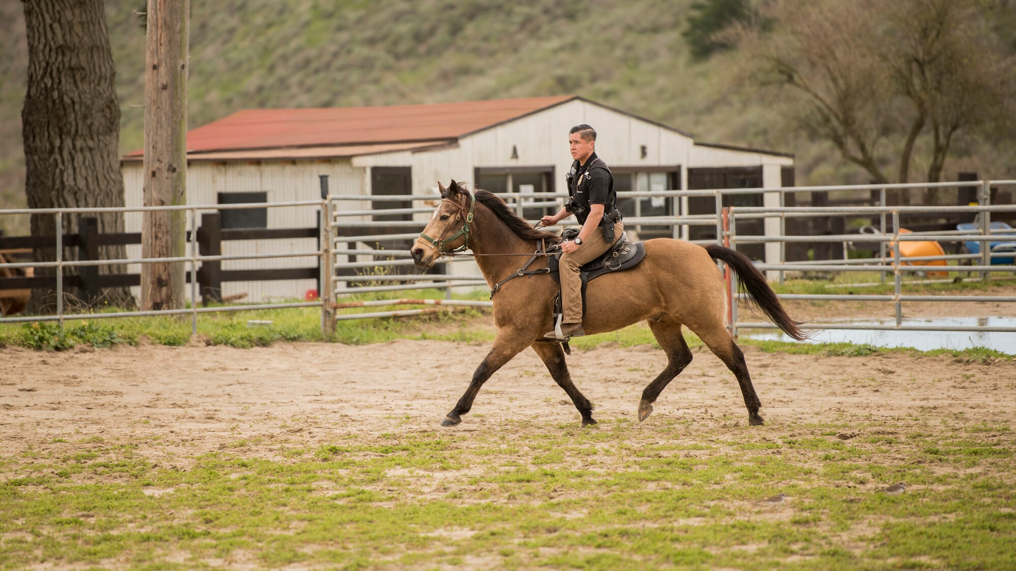 Senior Airman Michael Terrazas, 30th Security Forces Squadron conservation patrolman, does arena work with Military Working Horse "Buck" Feb. 21, 2019, at Vandenberg Air Force Base, Calif. Arena work is done to practice maneuvers, keep the horses exercised, and to ensure the horses and patrolmen are working well together before going out into the field. (U.S. Air Force photo by Airman 1st Class Hanah Abercrombie)