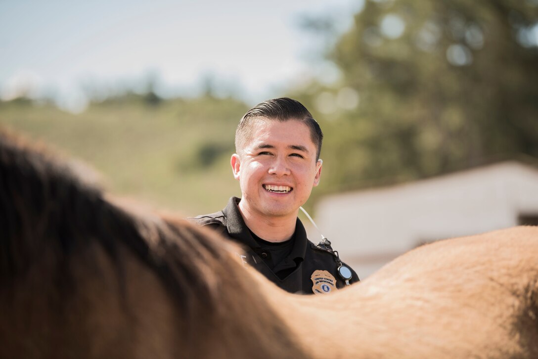 Senior Airman Michael Terrazas, 30th Security Forces Squadron conservation patrolman, brushes Military Working Horse "Buck" Feb. 21, 2019, at Vandenberg Air Force Base, Calif. Patrolmen make sure their horses are fed, brushed and exercised to ensure they stay fit for the job on the daily basis. (U.S. Air Force photo by Airman 1st Class Hanah Abercrombie)