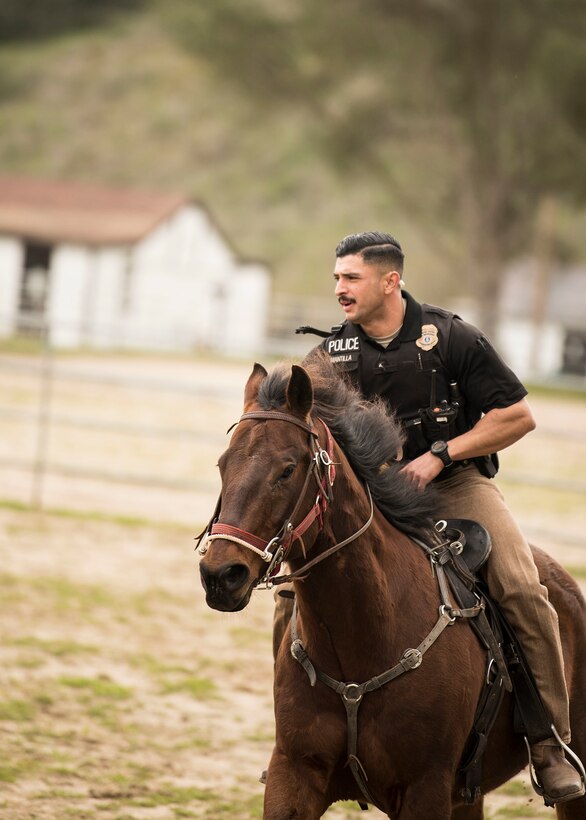 Staff Sgt. Bert Mantilla, 30th Security Forces Squadron conservation patrolman, rides Military Working Horse "Trooper" Feb. 21, 2019, at Vandenberg Air Force Base, Calif. Trooper is a 14 year old American quarter horse who entered active duty in 2010 and helps to patrol 99,600 acres of hard-to-reach Vandenberg with his patrolman. (U.S. Air Force photo by Airman 1st Class Hanah Abercrombie)