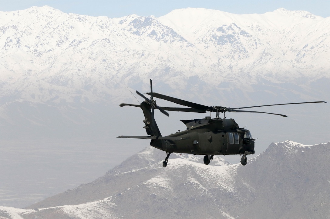 A helicopter transports troops.